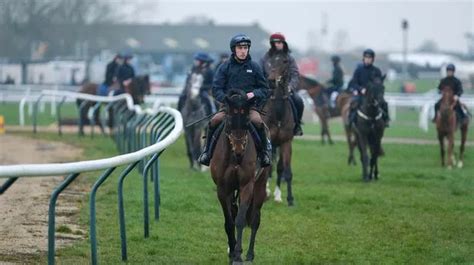 kj168 today live tips picks|KJ168 Race Cards.